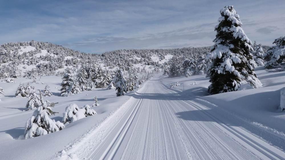 Greolieres Les Neiges Lägenhet Exteriör bild